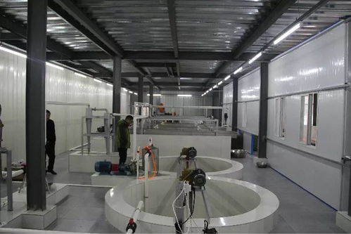 投資200多萬，竹溪首家藕粉加工廠帶動(dòng)脫貧致富